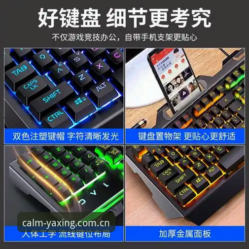 亚星体育平台2025新版实用指南：从兼容入口到实时推送的完整上手攻略