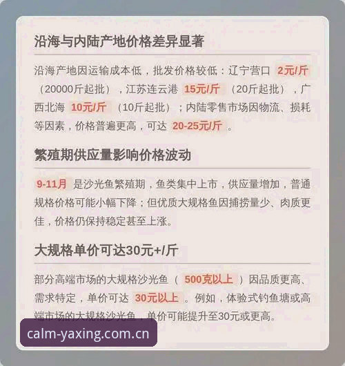 亚星体育平台新手抉择：旧版兼容入口与2025新版重构差异解析